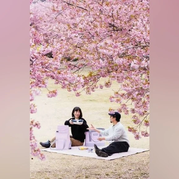 YETI Rambler Stackable 16oz Cherry Blossom Cup Mug Travel Cup Limited Edition - Picture 4 of 14